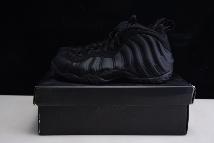 nike air foamposite one anthracite 314996-001