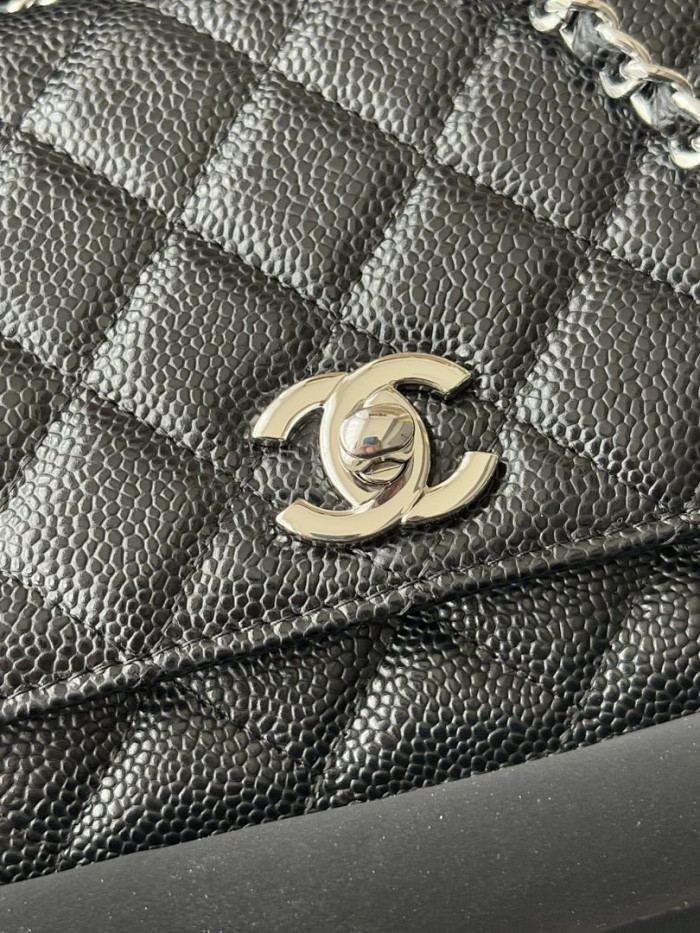 CHNEL BAG 19.5x12x3.5cm