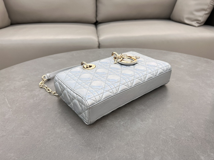 D1OR BAG 26x13.5x5cm