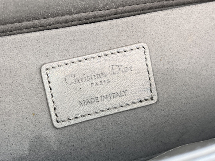 D1OR BAG 26x13.5x5cm