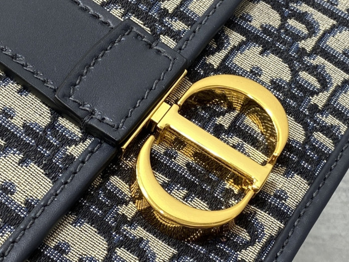 D1OR BAG 21×13.5×7cm