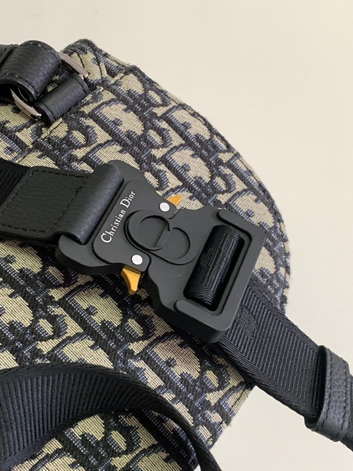 D1OR BAG 24x17.5x5cm