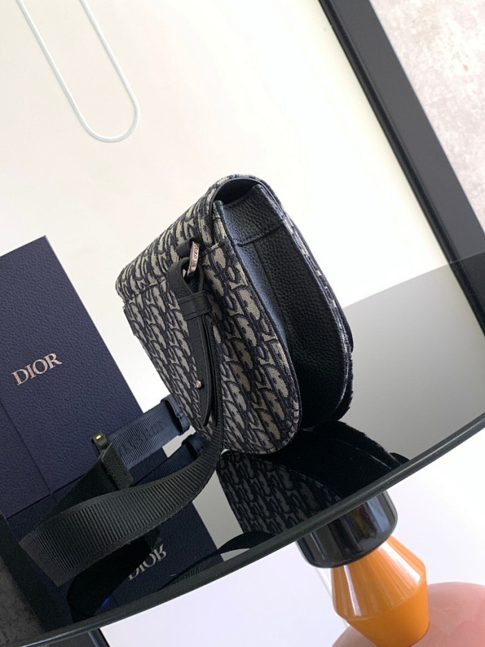 D1OR BAG 24x17.5x5cm