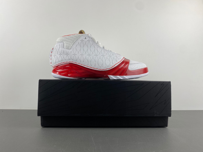 AIR JORDAN 23 OG 318376-161