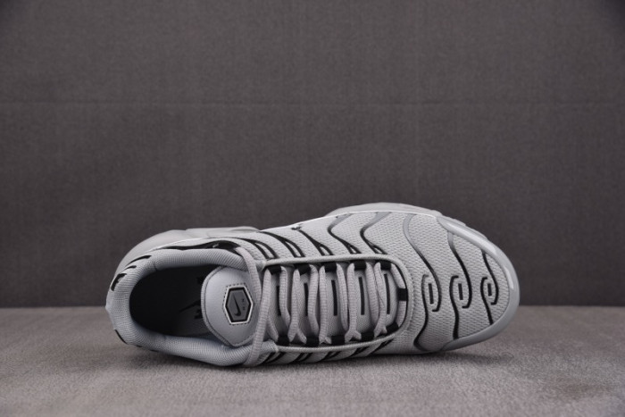 Nike Air Max Plus Wolf Grey 852630-021