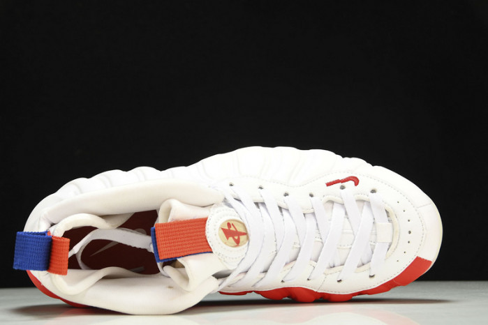 nike air foamposite one usa aa3963-102