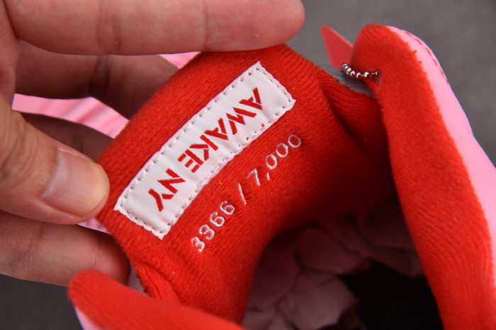 Air Jordan 5 x Awake NY 