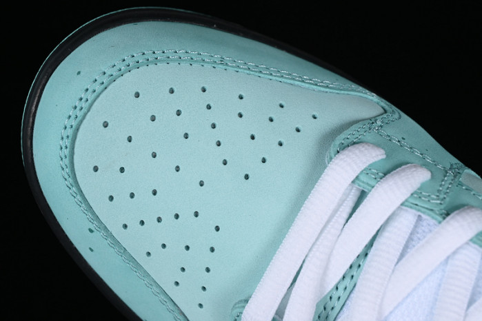 concepts x T*f*ny co. x nike sb dunk low bv1310-402