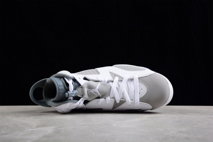 air jordan 6 cool grey ct8529-100