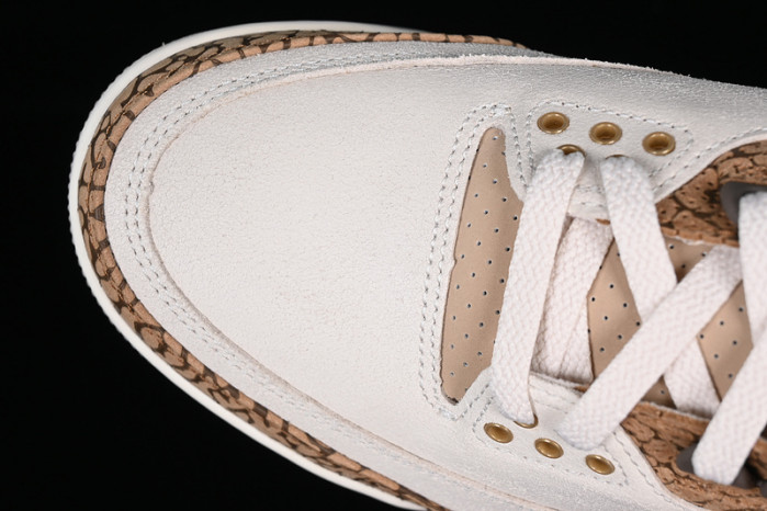 air jordan 3 palomino ct8532-102