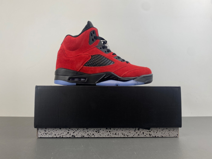 Air Jordan 5 Retro DD0587-600