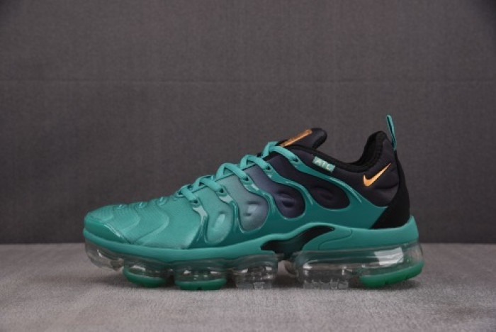 NIKE AIR VAPORMAX Plus DH0145-300