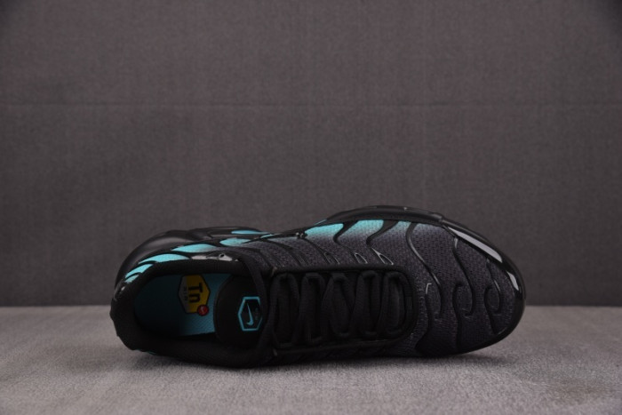 NK Air Max Plus Black Dusty Cactus DM0032-016