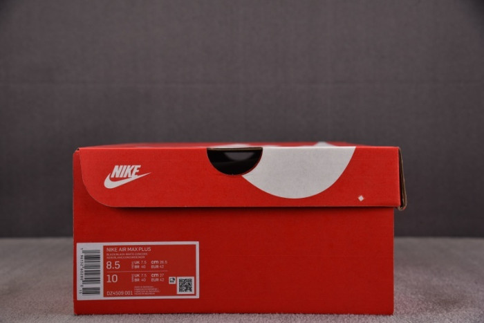 Nike Air Max Plus Black Blue Red DZ4509-001