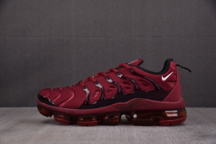 NIKE AIR VAPORMAX Plus FN6850-681