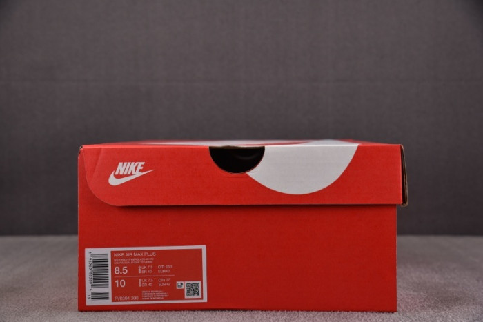 Nike Air Max Plus FV0394-300