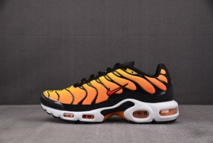 Nike Air Max Plus Sunset HF0552-001