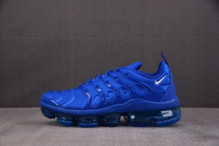 NIKE AIR VAPORMAX Plus HJ9148-480