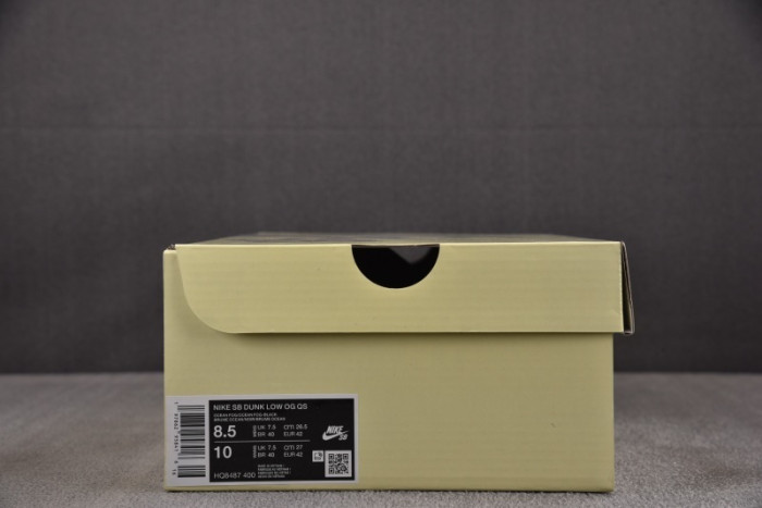Nike Dunk Low SB HQ8487-400