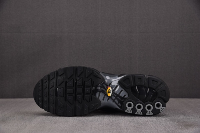 Air Max Plus PSG Black Particle Grey IB2253-001