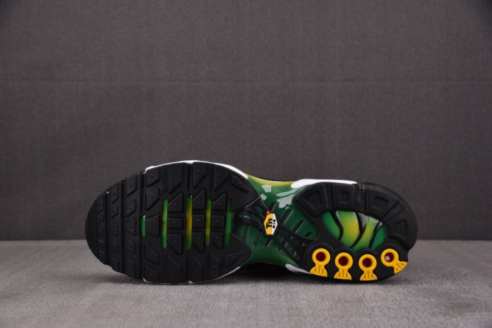 Nike Air Max Plus IB7671-700