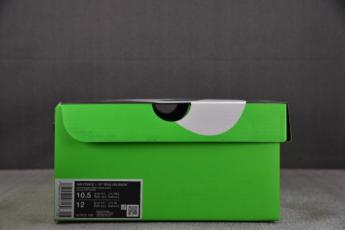 Air Force 1 Low Ducks of a Feather University of Oregon Egg IU7613-100