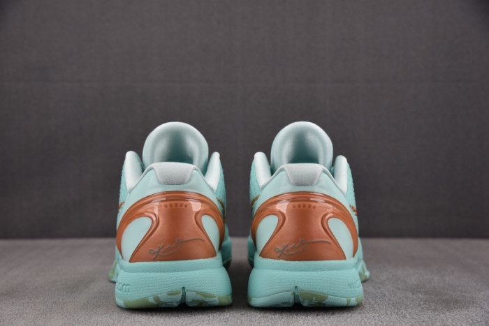 Nike Kobe 6 Protro Jalen Brunson PE PE2025-109